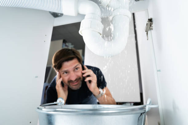 Best Gas Line Repair  in Roxborough Park, CO