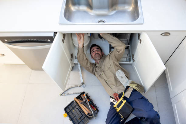 Best Clogged Drain Plumber  in Roxborough Park, CO