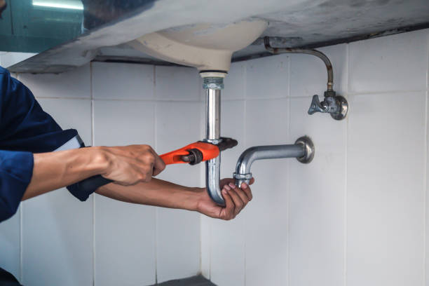 Best Best Plumbers Near Me  in Roxborough Park, CO
