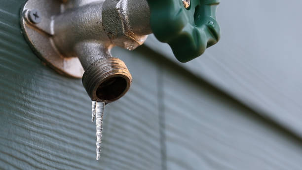 Best Drain Cleaning Services  in Roxborough Park, CO